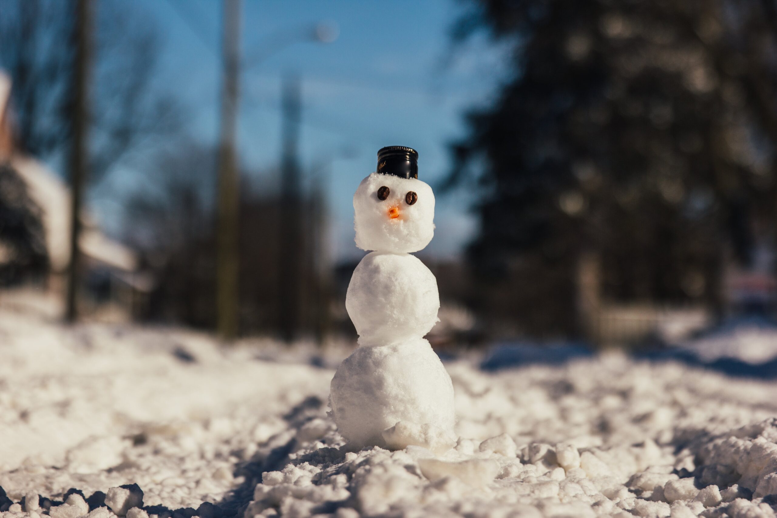 Snowman in the middle of a snowy Ottawa street