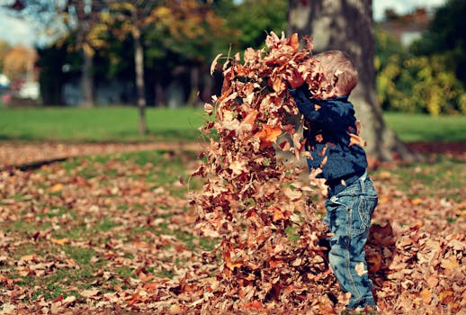 A young boy playing in a pile of colorful autumn leaves outdoors.